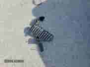 2014 BMW 4 Series 428i xDrive с VIN WBA3T1C57EPS98687, выставлен на аукционе Copart как лот 70694835 с пробегом 113 161 миль миль и Списание • Salvage title. История ставок и продаж доступна на DreamBid. Изображение 12.