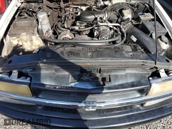 2003 Chevrolet S-10 with VIN 1GCCS14X738213389, listed as a Copart auction lot 74366234 with Not provided miles and Salvage title. Bid and sale history available at DreamBid. Image 11.