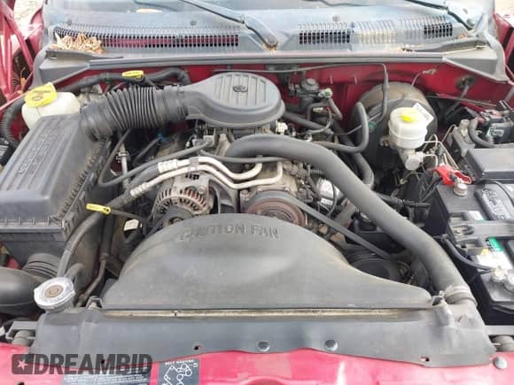 1999 Dodge Dakota SLT с VIN 1B7GL22X4XS151451, выставлен на аукционе IAAI как лот 42250905 с пробегом 132 152 миль миль и . История ставок и продаж доступна на DreamBid. Изображение 10.