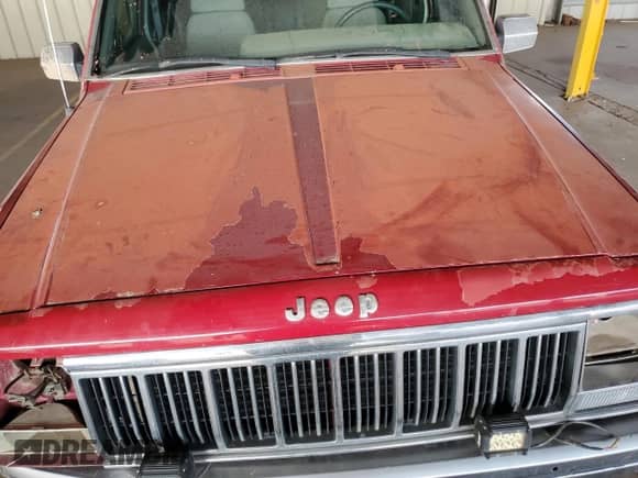 1991 Jeep Grand Cherokee with VIN 1J4FJ58S0ML528372, listed as a Copart auction lot 82857624 with 204,744 mi miles and Salvage title. Bid and sale history available at DreamBid. Image 11.