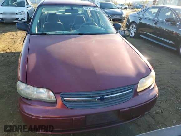 2005 Chevrolet Malibu Classic с VIN 1G1ND52F55M234247, выставлен на аукционе Copart как лот 82717114 с пробегом 131 912 миль миль и Списание • Salvage title. История ставок и продаж доступна на DreamBid. Изображение 5.