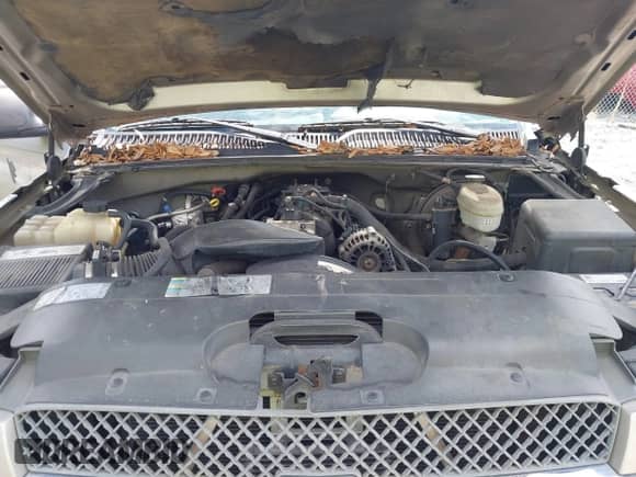 2003 Chevrolet Silverado 1500 LS с VIN 1GCEC19V33Z271314, выставлен на аукционе IAAI как лот 42055309 с пробегом Не указан миль и . История ставок и продаж доступна на DreamBid. Изображение 10.