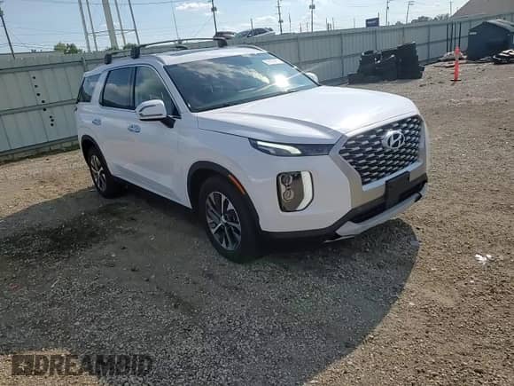 2021 Hyundai Palisade SEL с VIN KM8R24HE4MU207574, выставлен на аукционе Copart как лот 69859485 с пробегом 63 741 миль миль и Списание • Salvage title. История ставок и продаж доступна на DreamBid. Изображение 14.
