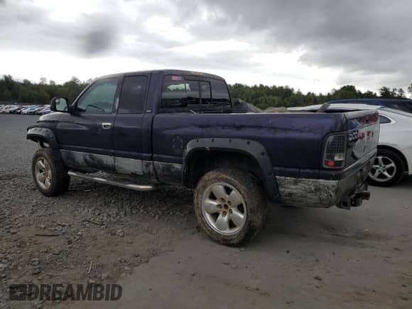 1999 Dodge 1500 с VIN 3B7HF13Z7XG198342, выставлен на аукционе Copart как лот 69011885 с пробегом Не указан миль и Списание • Salvage title. История ставок и продаж доступна на DreamBid. Изображение 2.