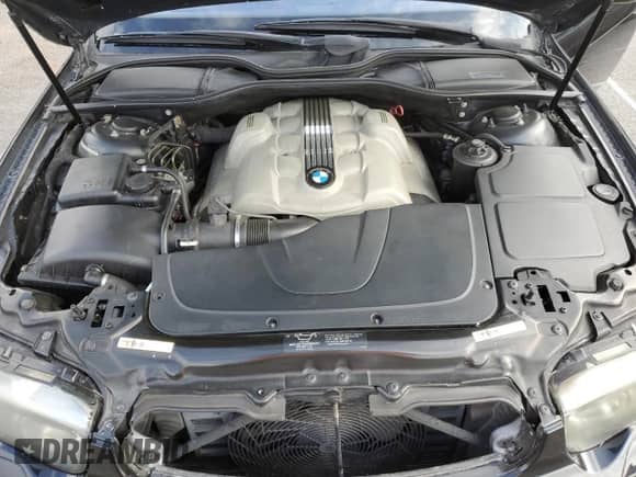 2003 BMW 7 Series 745Li with VIN WBAGN63403DR10940, listed as a Copart auction lot 54620465 with 184,535 mi miles and Salvage title. Bid and sale history available at DreamBid. Image 11.