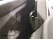 2018 Chevrolet Silverado 1500 LS с VIN 1GCNKNEC9JZ140447, выставлен на аукционе IAAI как лот 41387868 с пробегом 101 112 миль миль и . История ставок и продаж доступна на DreamBid. Изображение 8.