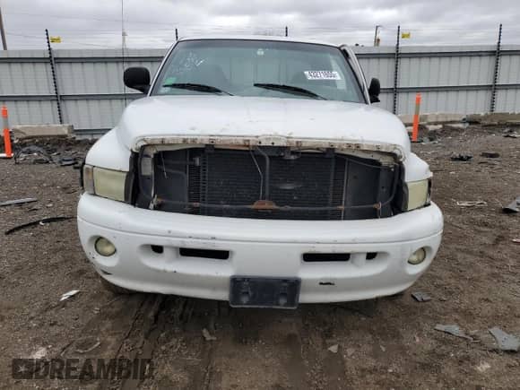 1999 Dodge 1500 с VIN 3B7HF13Z5XG153691, выставлен на аукционе Copart как лот 69287785 с пробегом 192 223 миль миль и Списание • Salvage title. История ставок и продаж доступна на DreamBid. Изображение 5.