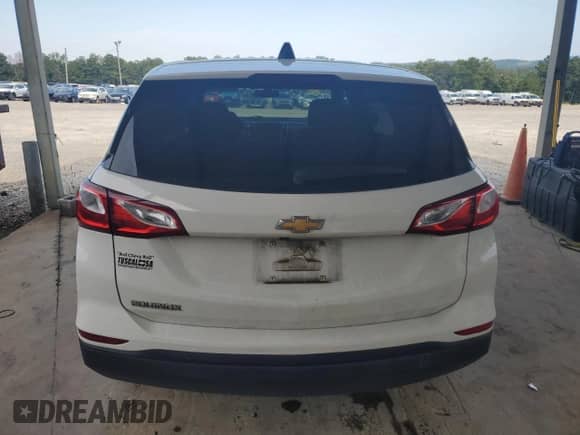 2019 Chevrolet Equinox LS z VIN 3GNAXHEV2KS662846, wystawiony jako Copart lot #71227635 z przebiegiem 110 013 mil mil oraz Szkoda całkowita • Salvage title. Historia ofert i sprzedaży dostępna na DreamBid. Obrazek 6.