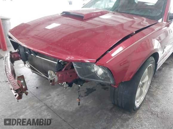 2006 Ford Mustang GT Deluxe z VIN 1ZVFT82H765156662, wystawiony jako IAAI lot #43391359 z przebiegiem 62 554 mil mil oraz . Historia ofert i sprzedaży dostępna na DreamBid. Obrazek 6.