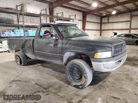 1996 Dodge 1500 with VIN 1B7HC16Y2TS563282, listed as a Copart auction lot 69283145 with 190,945 mi miles and Salvage title. Bid and sale history available at DreamBid. Image 4.