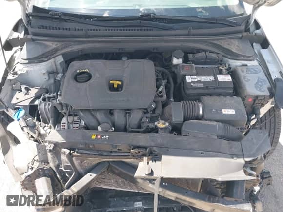 2019 Hyundai Elantra SEL z VIN 5NPD84LF8KH428180, wystawiony jako IAAI lot #43052707 z przebiegiem 103 157 mil mil oraz . Historia ofert i sprzedaży dostępna na DreamBid. Obrazek 10.