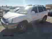 2003 Hyundai Santa Fe GLS with VIN KM8SC13D63U536075, listed as a Copart auction lot 86699295 with 189,731 mi miles and Salvage title. Bid and sale history available at DreamBid. Image 1.