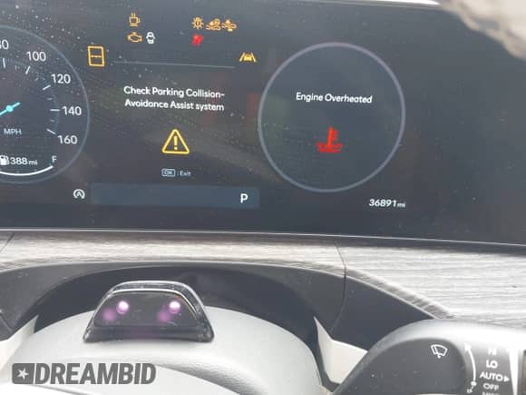 2024 Hyundai Santa Fe Calligraphy with VIN 5NMP54GL9RH035544, listed as a IAAI auction lot 42848560 with 36,891 mi miles and . Bid and sale history available at DreamBid. Image 7.