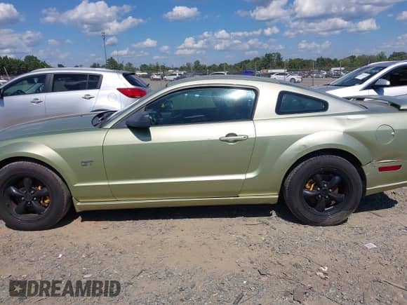 2006 Ford Mustang GT Deluxe с VIN 1ZVHT82H365156215, выставлен на аукционе IAAI как лот 43117357 с пробегом 227 291 миль миль и . История ставок и продаж доступна на DreamBid. Изображение 14.