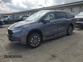 2024 Honda Odyssey EX-L z VIN 5FNRL6H64RB039764, wystawiony jako Copart lot #57813785 z przebiegiem 5 167 mil mil oraz Szkoda całkowita • Salvage title. Historia ofert i sprzedaży dostępna na DreamBid. Obrazek 1.