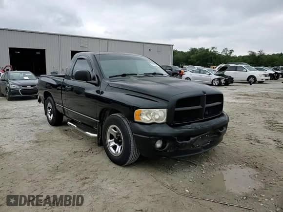 2003 Dodge 1500 ST z VIN 1D7HA16D53J583461, wystawiony jako Copart lot #71570794 z przebiegiem 388 952 mil mil oraz Szkoda całkowita • Salvage title. Historia ofert i sprzedaży dostępna na DreamBid. Obrazek 10.