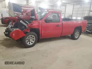 2009 Chevrolet Silverado 1500 Work Truck with VIN 1GCEC14XX9Z220538, listed as a Copart auction lot 48787505 with Not provided miles and Salvage title. Bid and sale history available at DreamBid. Image 1.