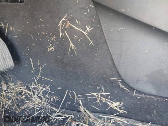 2024 Chevrolet Malibu LT с VIN 1G1ZD5ST1RF129996, выставлен на аукционе IAAI как лот 43373953 с пробегом Не указан миль и . История ставок и продаж доступна на DreamBid. Изображение 6.