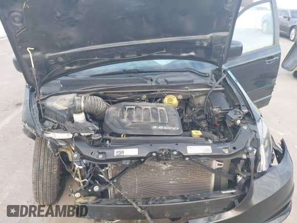 2017 Dodge Grand Caravan SE Plus with VIN 2C4RDGBG6HR856631, listed as a IAAI auction lot 41900126 with Not provided miles and . Bid and sale history available at DreamBid. Image 10.