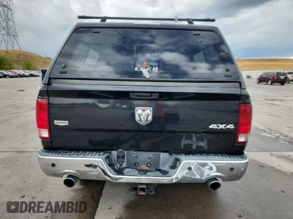 2009 Dodge 1500 SLT with VIN 1D3HV13T59S723593, listed as a Copart auction lot 80668735 with 207,773 mi miles and Salvage title. Bid and sale history available at DreamBid. Image 6.