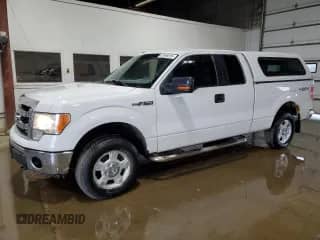 2013 Ford F-150 XL с VIN 1FTEX1EM0DFB45075, выставлен на аукционе Copart как лот 67856615 с пробегом 236 267 миль миль и Чистый • Clean title. История ставок и продаж доступна на DreamBid. Изображение 1.