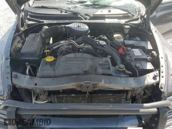 2003 Dodge Dakota с VIN 1D7HG12X83S219186, выставлен на аукционе Copart как лот 80709485 с пробегом Не указан миль и Списание • Salvage title. История ставок и продаж доступна на DreamBid. Изображение 11.