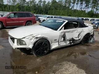 2008 Ford Mustang GT Deluxe z VIN 1ZVHT85H885135990, wystawiony jako Copart lot #55978465 z przebiegiem 79 249 mil mil oraz Czysty tytuł • Clean title. Historia ofert i sprzedaży dostępna na DreamBid. Obrazek 1.