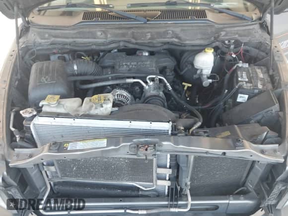 2007 Dodge 1500 SLT with VIN 1D7HU18237S254793, listed as a IAAI auction lot 43136825 with 260,403 mi miles and . Bid and sale history available at DreamBid. Image 10.