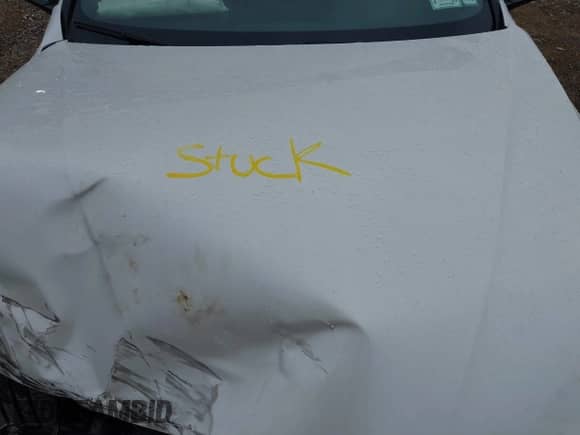 2017 BMW 4 Series 430i with VIN WBA4F7C5XHG787510, listed as a IAAI auction lot 43036039 with 134,982 mi miles and . Bid and sale history available at DreamBid. Image 10.