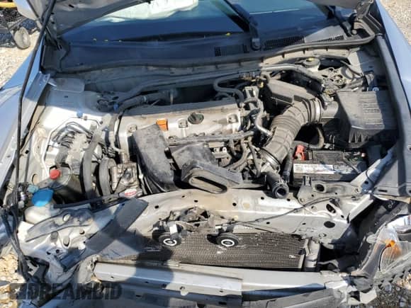 2010 Honda Accord EX with VIN 1HGCP2F75AA083947, listed as a Copart auction lot 80585665 with 213,553 mi miles and Clean title. Bid and sale history available at DreamBid. Image 11.