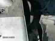 2007 Hyundai Veracruz GLS z VIN KM8NU73C17U005750, wystawiony jako IAAI lot #42100304 z przebiegiem 227 101 mil mil oraz . Historia ofert i sprzedaży dostępna na DreamBid. Obrazek 14.