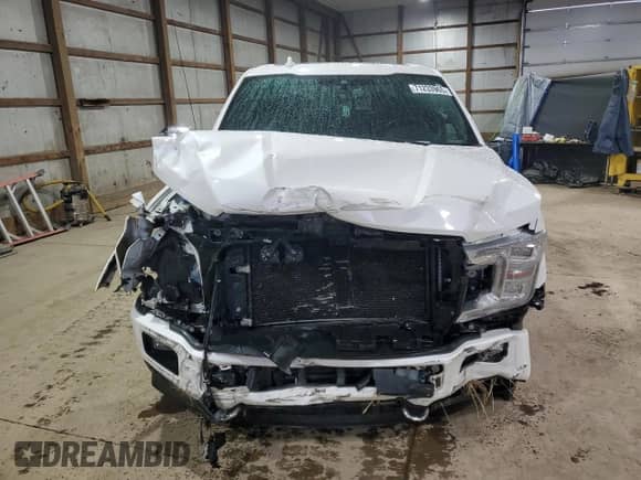 2018 Ford F-150 XLT z VIN 1FTEW1EG5JFB10301, wystawiony jako Copart lot #71233965 z przebiegiem 160 210 mil mil oraz Szkoda całkowita • Salvage title. Historia ofert i sprzedaży dostępna na DreamBid. Obrazek 5.