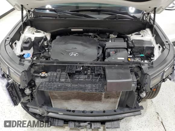 2024 Hyundai Palisade XRT with VIN KM8R3DGE3RU689167, listed as a Copart auction lot 86103275 with 43,877 mi miles and Clean title. Bid and sale history available at DreamBid. Image 12.