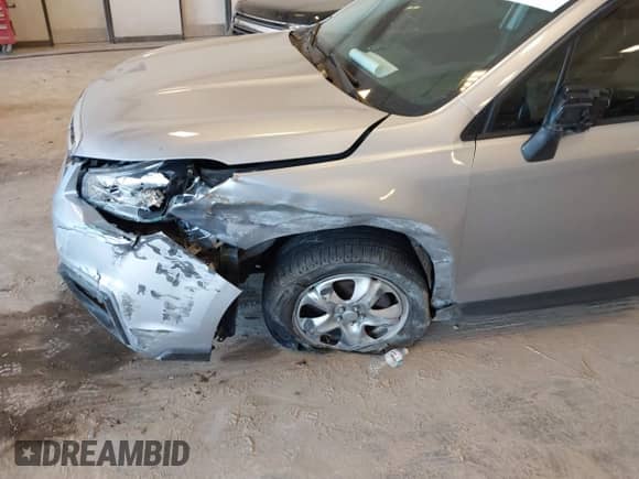 2017 Subaru Forester with VIN JF2SJAAC6HG567600, listed as a IAAI auction lot 42954798 with 120,201 mi miles and . Bid and sale history available at DreamBid. Image 6.