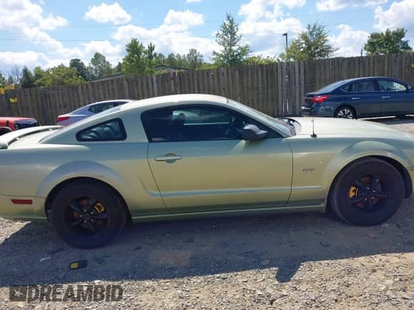 2006 Ford Mustang GT Deluxe с VIN 1ZVHT82H365156215, выставлен на аукционе IAAI как лот 43117357 с пробегом 227 291 миль миль и . История ставок и продаж доступна на DreamBid. Изображение 13.