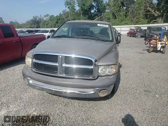 2002 Dodge 1500 z VIN 1D7HA16K32J235204, wystawiony jako Copart lot #68419325 z przebiegiem 163 817 mil mil oraz Nie do naprawy • Non repairable. Historia ofert i sprzedaży dostępna na DreamBid. Obrazek 13.