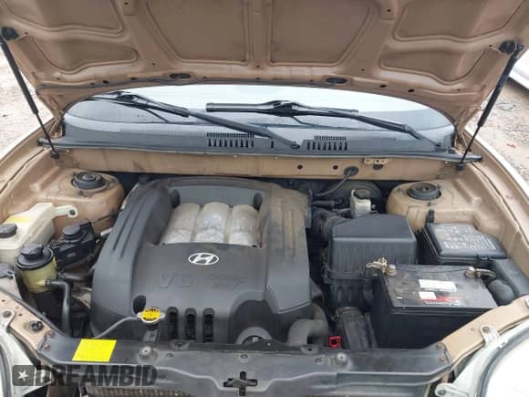 2002 Hyundai Santa Fe GLS с VIN KM8SC73D22U314859, выставлен на аукционе IAAI как лот 42897985 с пробегом 168 269 миль миль и . История ставок и продаж доступна на DreamBid. Изображение 10.