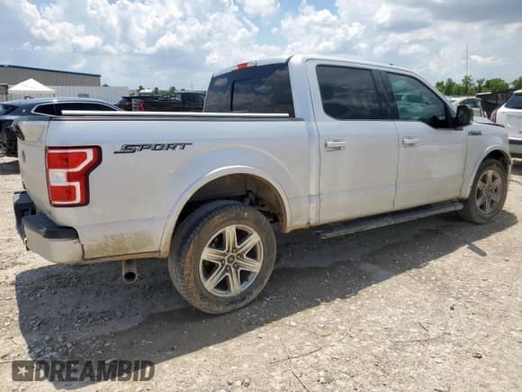 2019 Ford F-150 XL with VIN 1FTEW1C45KKC30150, listed as a Copart auction lot 67260265 with 109,896 mi miles and Salvage title. Bid and sale history available at DreamBid. Image 3.