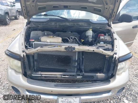 2004 Dodge 1500 SLT z VIN 1D7HA18D84S538006, wystawiony jako IAAI lot #42655534 z przebiegiem 307 972 mil mil oraz . Historia ofert i sprzedaży dostępna na DreamBid. Obrazek 10.