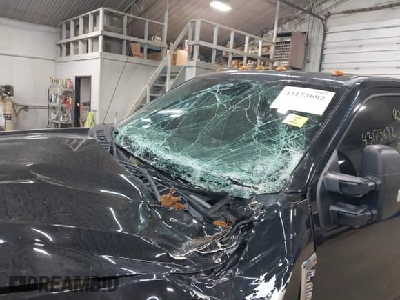 2017 Ford F-250 Lariat с VIN 1FT7W2B66HEE29961, выставлен на аукционе IAAI как лот 43173692 с пробегом 167 426 миль миль и . История ставок и продаж доступна на DreamBid. Изображение 17.