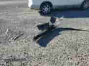 2001 Hyundai Santa Fe GLS с VIN KM8SC83D91U100729, выставлен на аукционе Copart как лот 88556085 с пробегом 80 584 миль миль и Списание • Salvage title. История ставок и продаж доступна на DreamBid. Изображение 12.