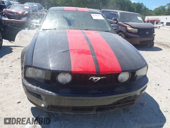 2007 Ford Mustang GT Deluxe с VIN 1ZVHT82H775304514, выставлен на аукционе IAAI как лот 43080644 с пробегом 221 004 миль миль и . История ставок и продаж доступна на DreamBid. Изображение 12.