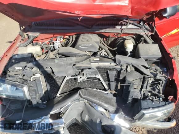 2005 Chevrolet Silverado 1500 Work Truck with VIN 2GCEK19V151290295, listed as a Copart auction lot 80341065 with 193,191 mi miles and Salvage title. Bid and sale history available at DreamBid. Image 11.