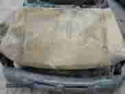 2003 Chevrolet Silverado 1500 LS с VIN 1GCEK14T43Z135461, выставлен на аукционе Copart как лот 62999924 с пробегом Не указан миль и На запчасти • Non repairable. История ставок и продаж доступна на DreamBid. Изображение 11.