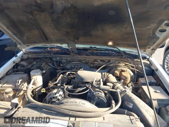 2002 Chevrolet Blazer LS с VIN 1GNCS18W72K174863, выставлен на аукционе IAAI как лот 43014539 с пробегом 208 577 миль миль и . История ставок и продаж доступна на DreamBid. Изображение 10.