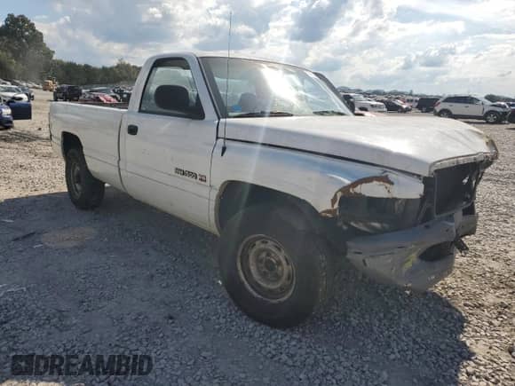 2001 Dodge 1500 Work Special z VIN 1B7HC16X01S659500, wystawiony jako Copart lot #73789034 z przebiegiem 175 338 mil mil oraz Czysty tytuł • Clean title. Historia ofert i sprzedaży dostępna na DreamBid. Obrazek 4.