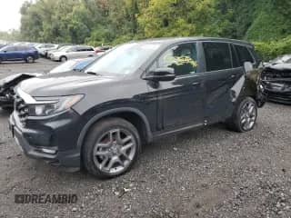 2023 Honda Passport EX-L с VIN 5FNYF8H55PB022183, выставлен на аукционе Copart как лот 84281925 с пробегом 31 296 миль миль и Списание • Salvage title. История ставок и продаж доступна на DreamBid. Изображение 1.