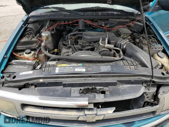 1996 Chevrolet Blazer with VIN 1GNCS13W0T2141390, listed as a Copart auction lot 59041195 with 274,029 mi miles and Salvage title. Bid and sale history available at DreamBid. Image 12.