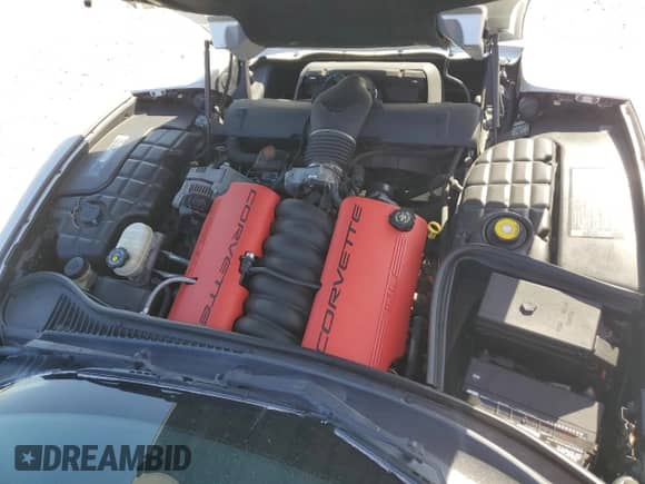 2001 Chevrolet Corvette Z06 с VIN 1G1YY12S115116725, выставлен на аукционе Copart как лот 48578685 с пробегом 52 988 миль миль и Списание • Salvage title. История ставок и продаж доступна на DreamBid. Изображение 11.