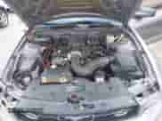 2006 Ford Mustang Standard with VIN 1ZVFT80N165123794, listed as a IAAI auction lot 43067336 with 237,527 mi miles and . Bid and sale history available at DreamBid. Image 10.